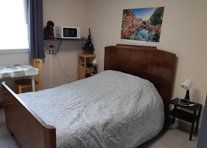 Апартаменты De Benedicte Fribourg Кольмар